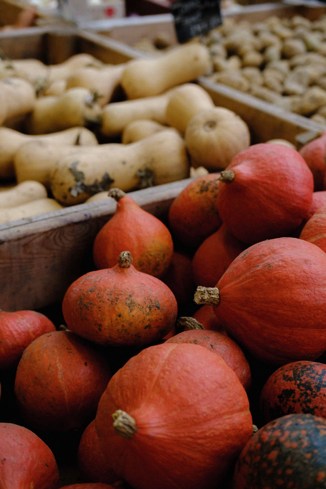Quels légumes manger en septembre ?